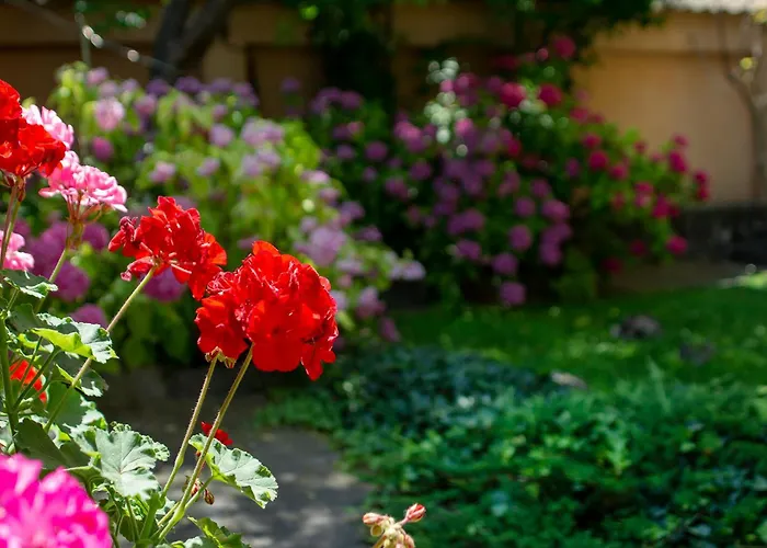 Tatyana City Garden