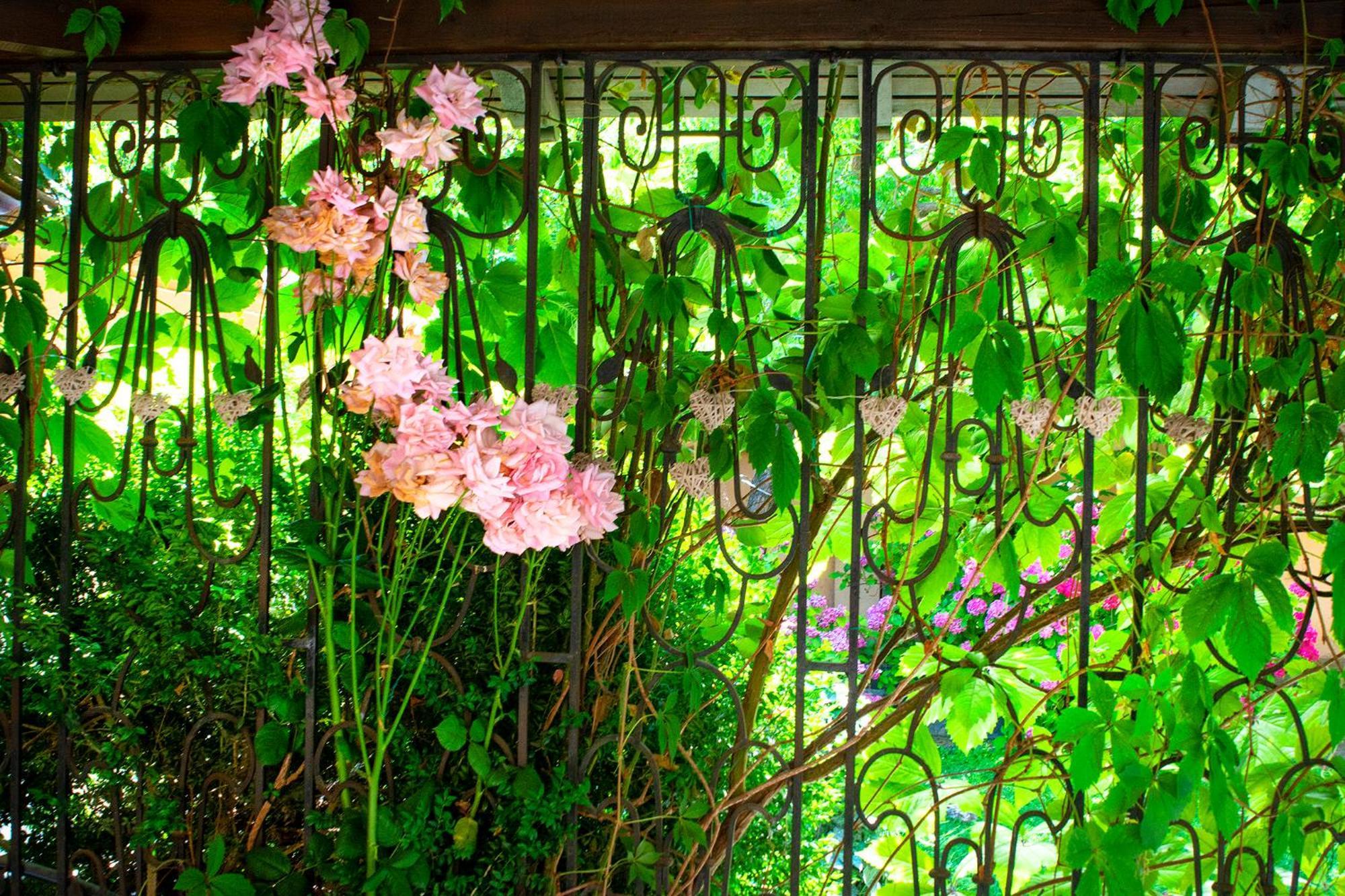 Διαμέρισμα Tatyana Garden